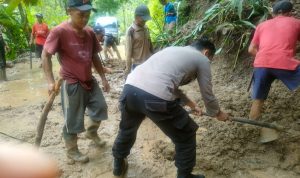 IMG-20221110-WA0037