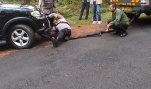 WhatsApp Image 2023-04-25 at 14.51.15